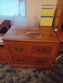 Lateral File / Includes all in drawers