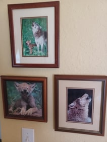 Lot of 3 Wolf Art Photography