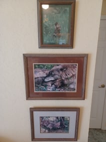 Lot of 3 Wolf Art Photography