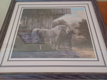 Morning Light Framed Print by Deborah Rush / Signed & Numbered