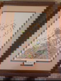 Morning Doves Framed Print