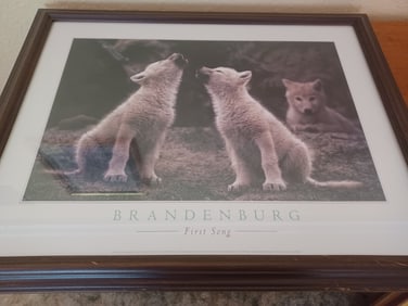 Brandenburg First Song Artwork