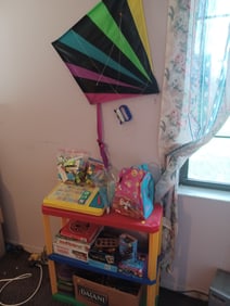 Kids Room Lot / Sheld and averything seen / Legos