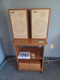 Vintage Teledyne Olson Speakers and Stand with Contents / owner states they work / untested