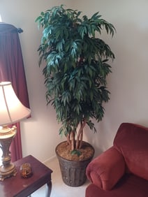 Elegant Tree Planter