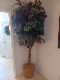 Faux Tree in Basket