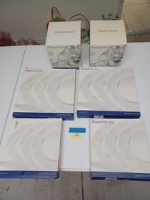 Lot of Acrylic Plates and Goblets / all seen