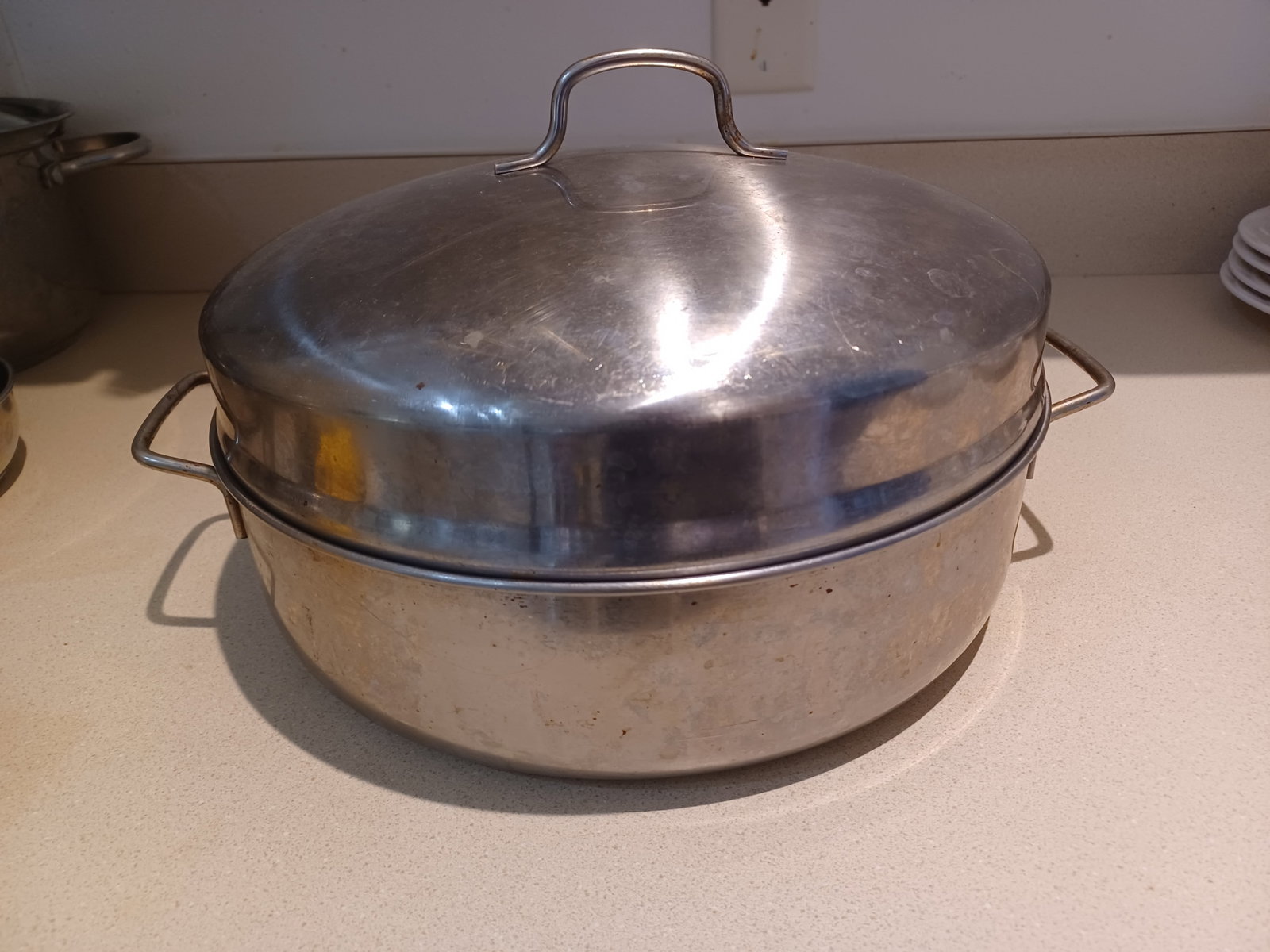 Stainless Steel French Roaster: Stainless Steel French Roaster