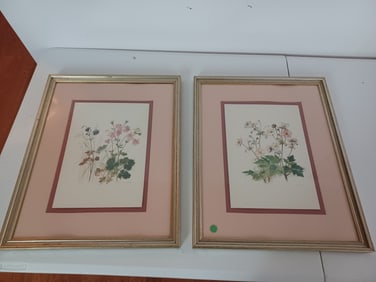 Pair of Vintage Framed Floral Prints