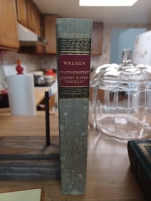 Vintage edition Walden by Henry David Thoreau