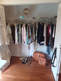 Entire Contents of the closet, all seen