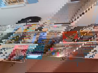 Large Vinyl Album Collection / as seen