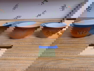 Vintage Pyrex Set of Bowls/ Old Orchard Pattern