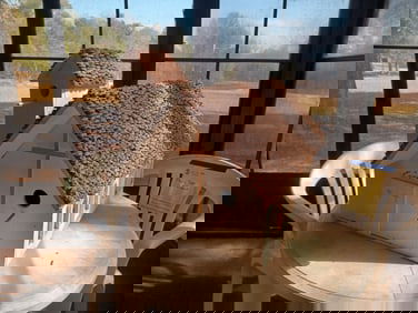 Large Custom Built Bird House