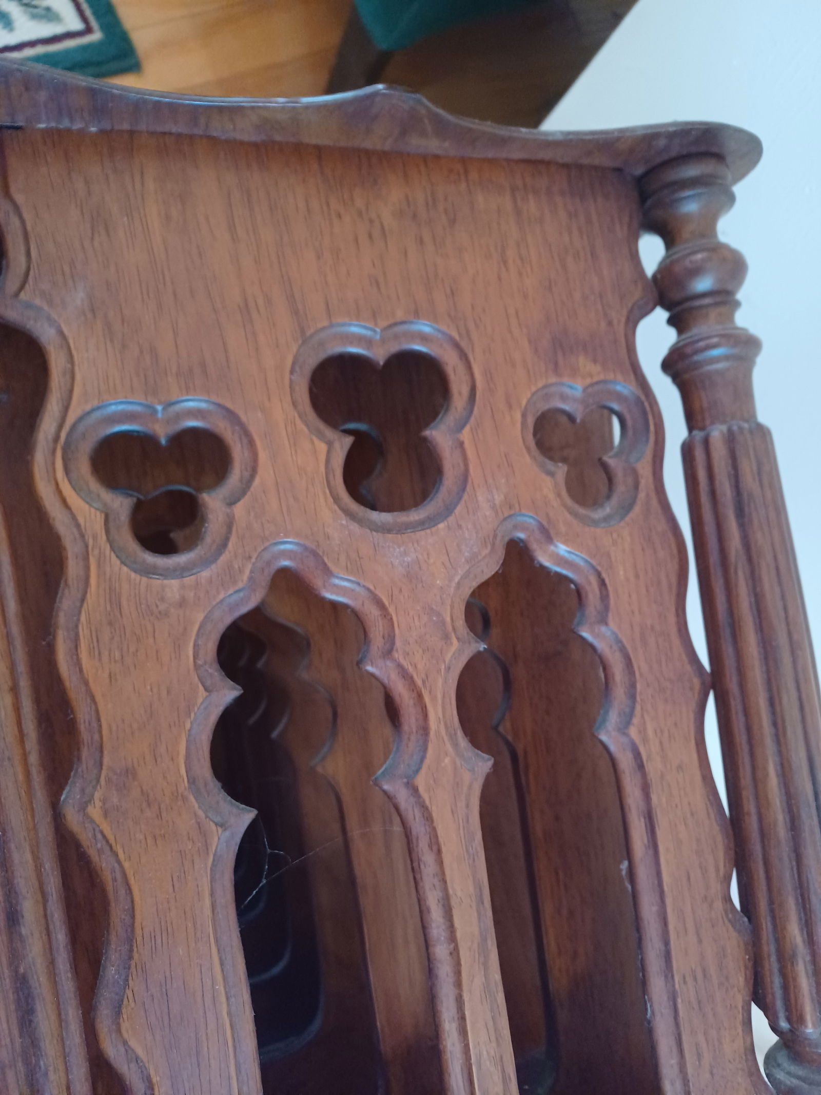 Victorian Caturbury Cabinet - 9