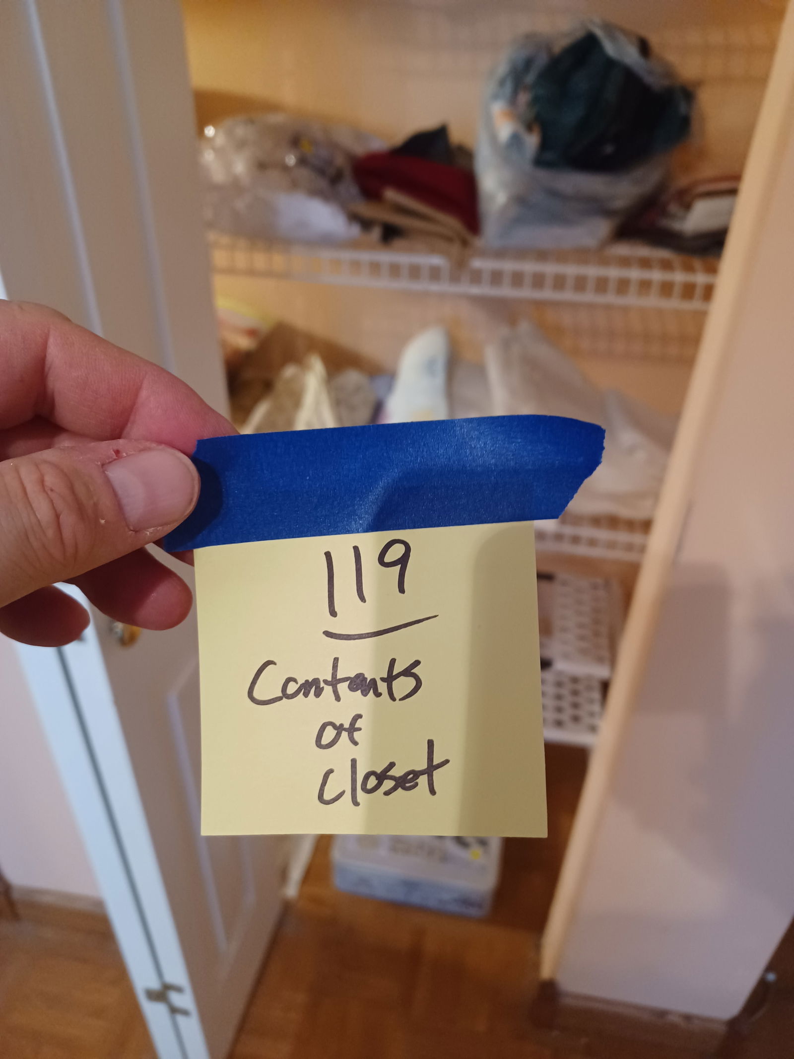 Entire Contents of Closet / except metal lamp - 2