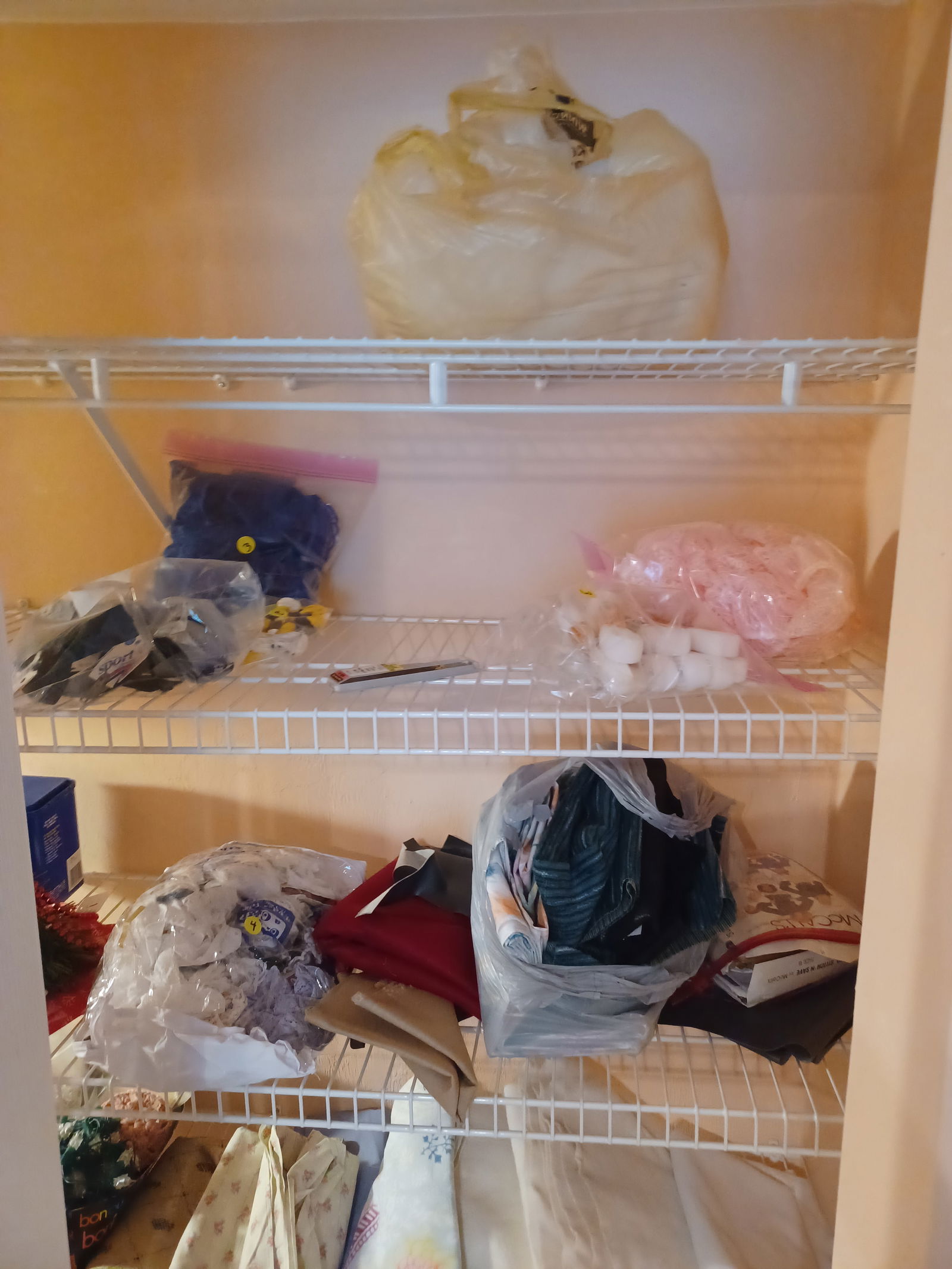 Entire Contents of Closet / except metal lamp - 4