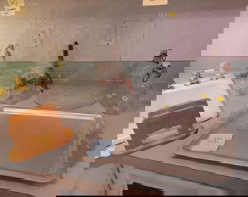 Kitchen Lot all shown on counter