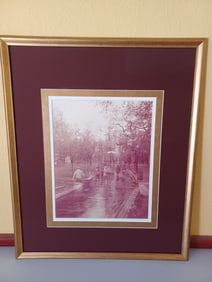 Boston Commons Triple Exposure by David Edwatd Dempsted / signed and numbered
