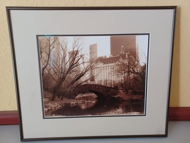 Fall in Central Park #1