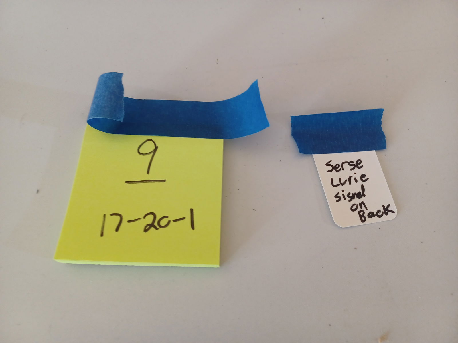 Fall in Central Park #1 - 2