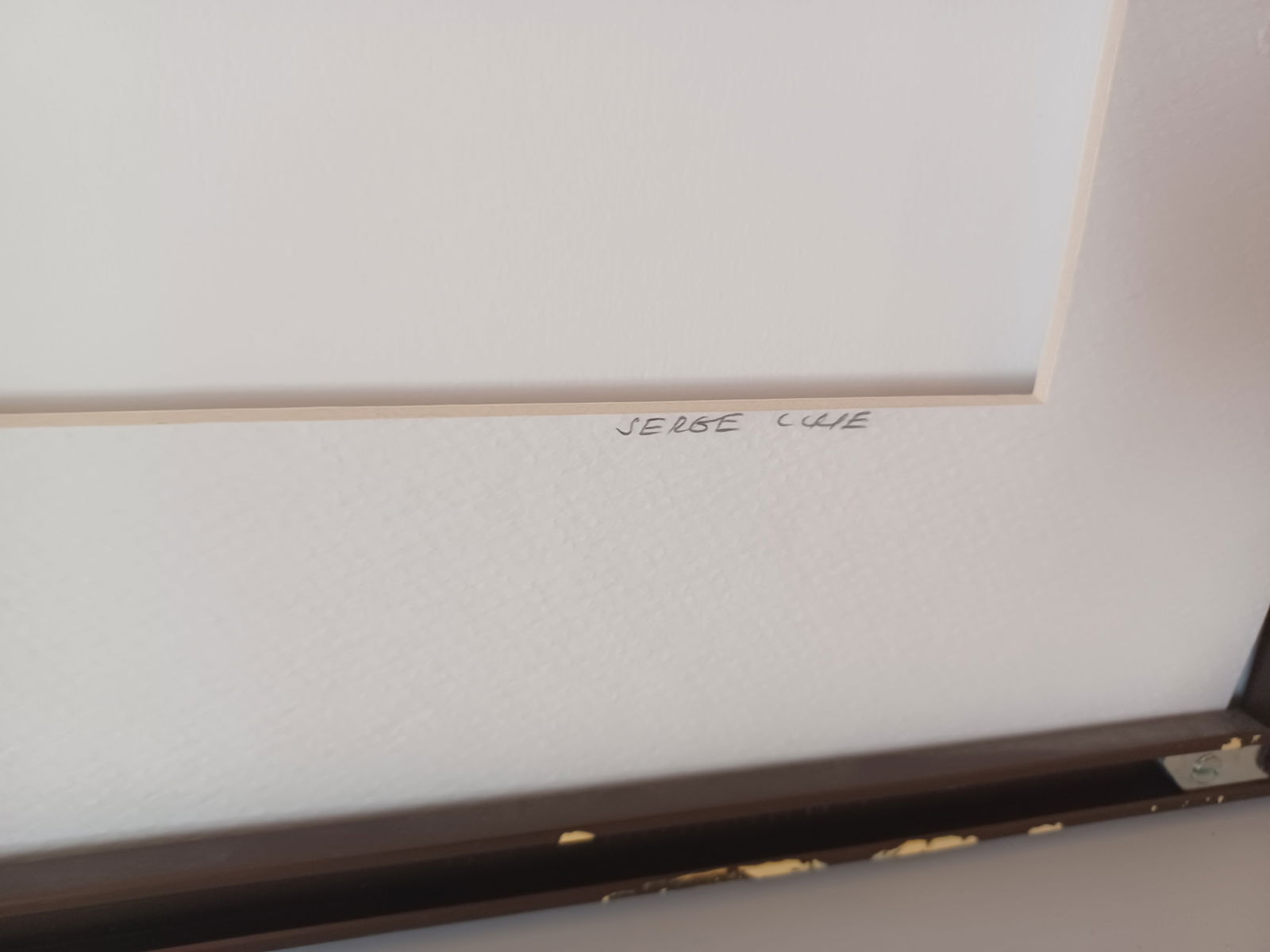 Fall in Central Park #1 - 5