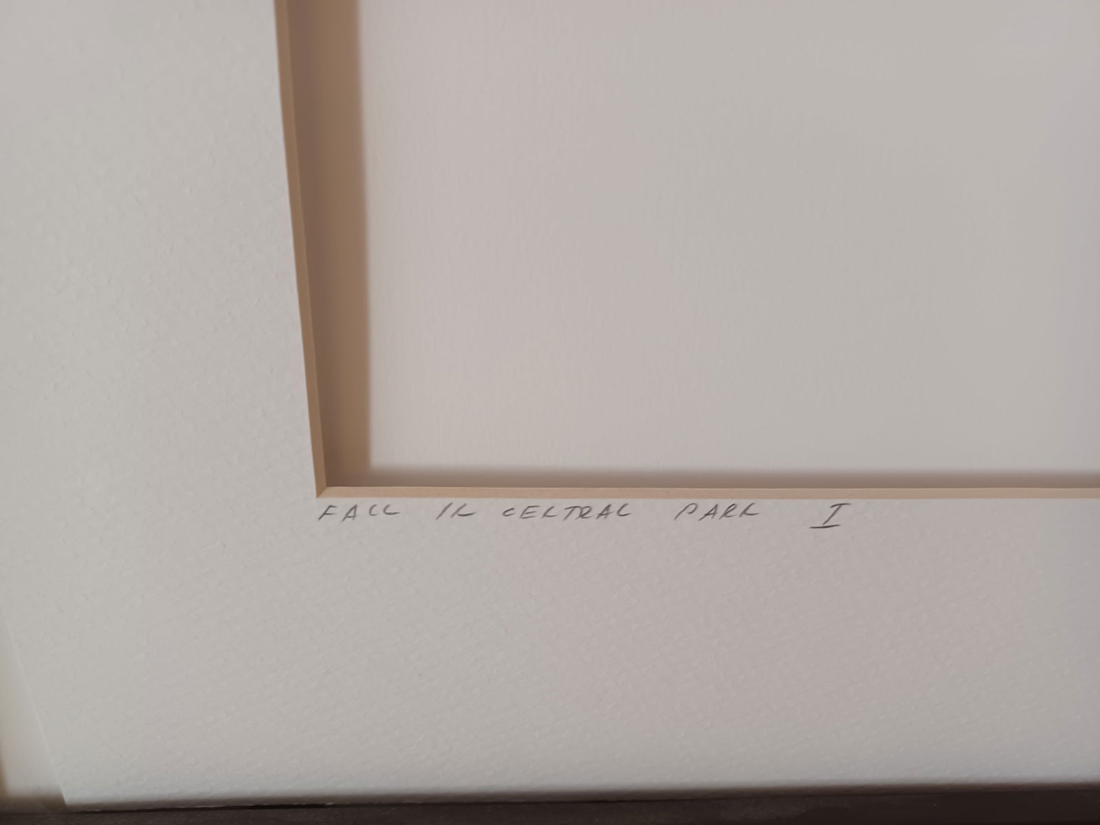 Fall in Central Park #1 - 6