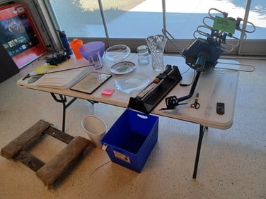 Entire Contents of Table / all seen / table not included