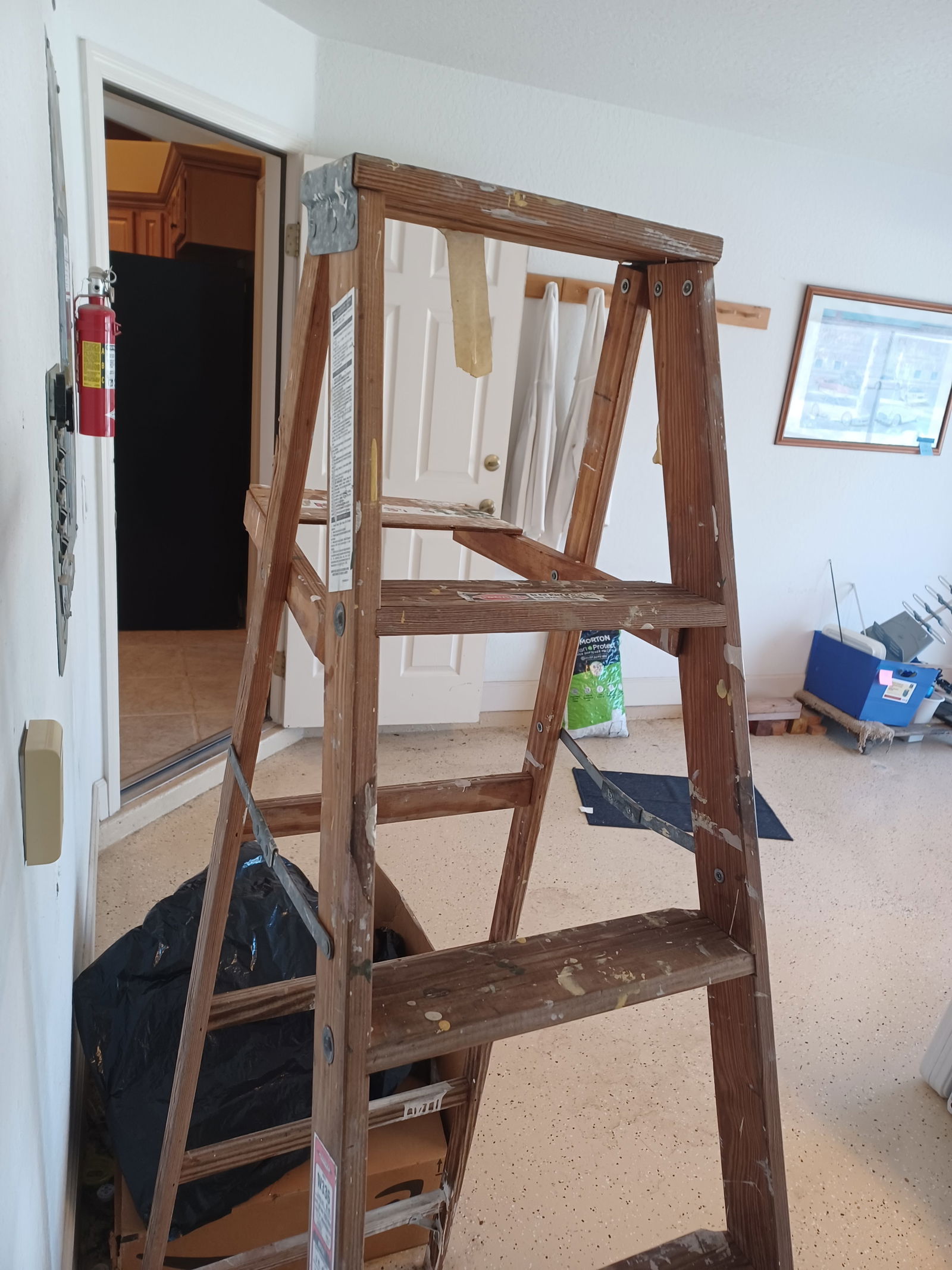 6 foot Werner Wood Ladder - 4