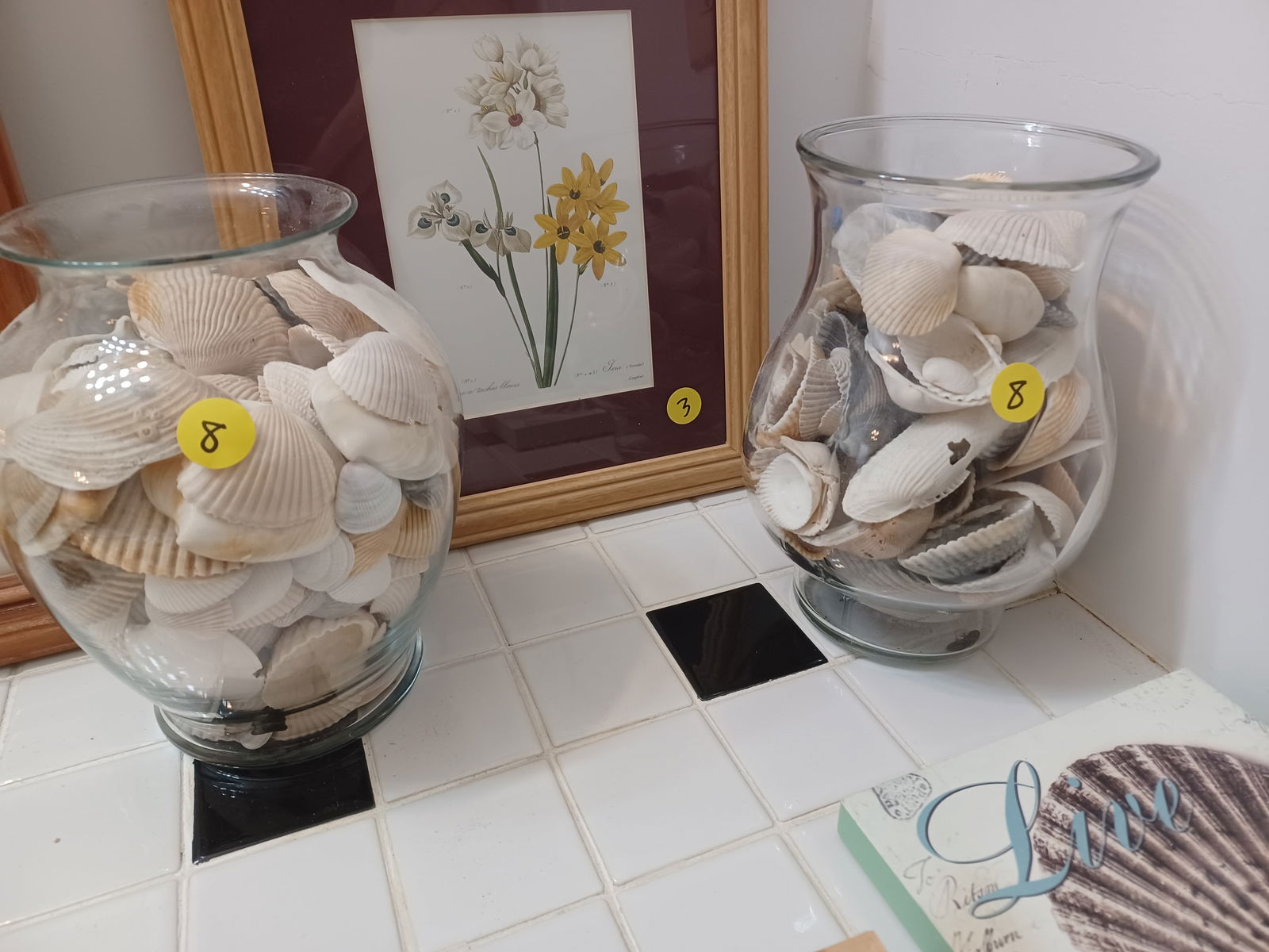 Large Lot of Sea Shell Cecorative Items - 2