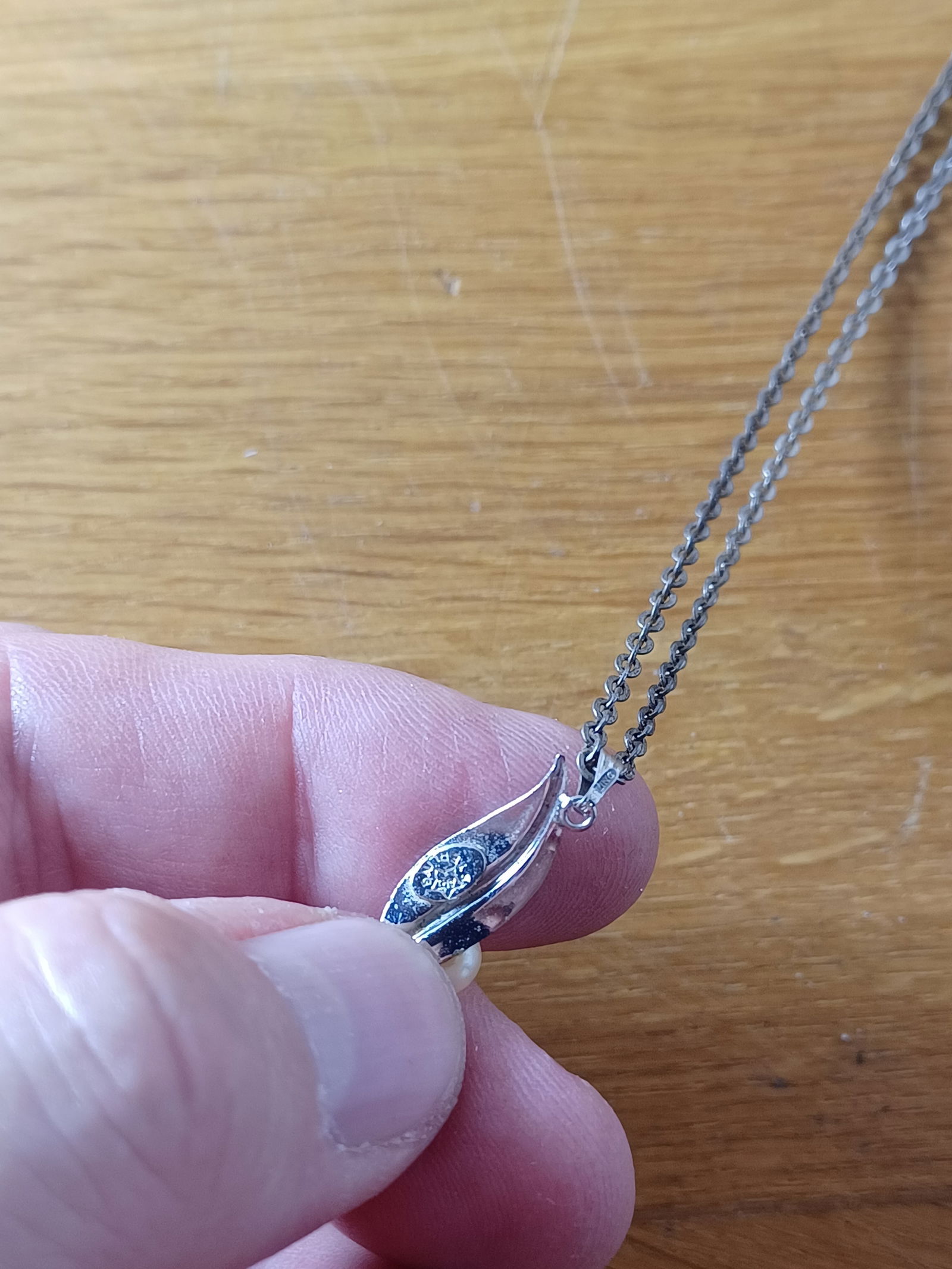 Sterling Pendant and Chain - 3