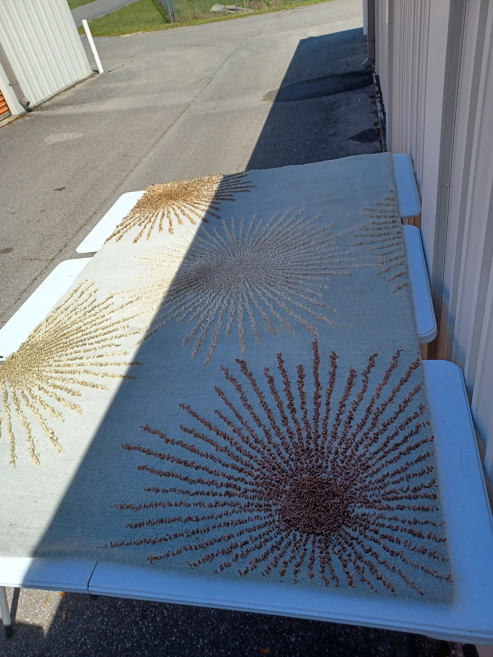 Beautiful Wool Area Rug: Beautiful Wool Area Rug