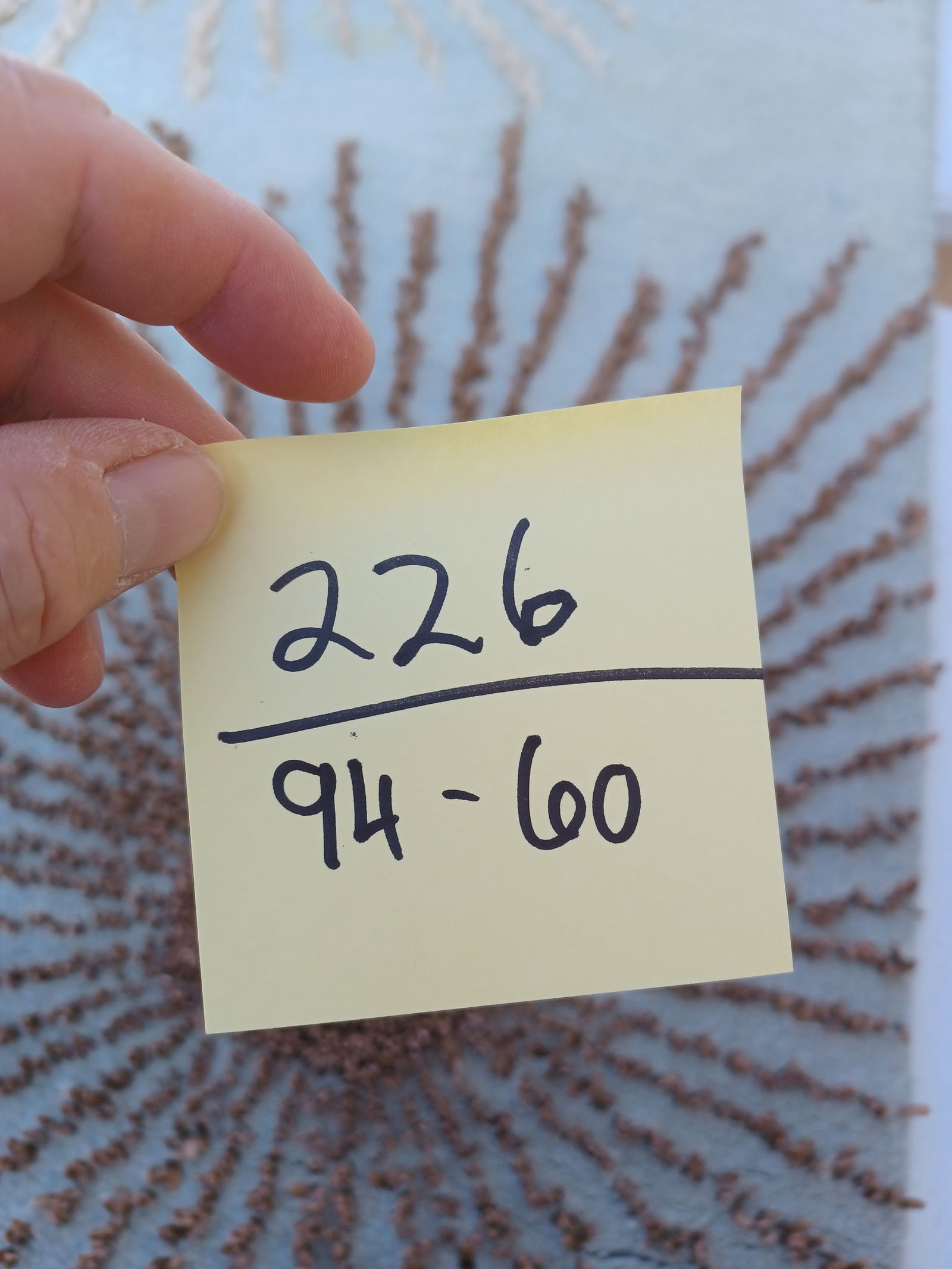 Beautiful Wool Area Rug - 2