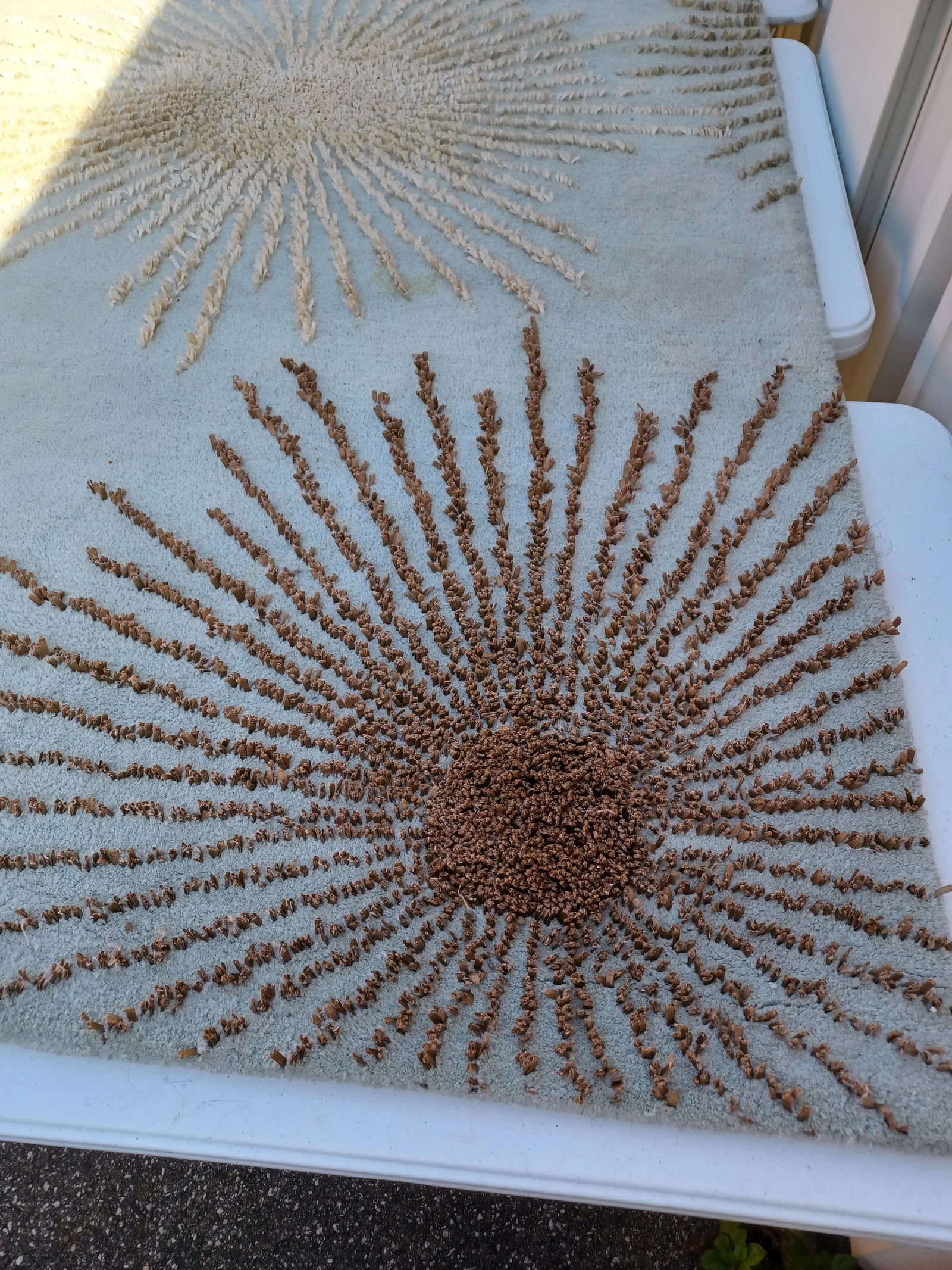 Beautiful Wool Area Rug - 3