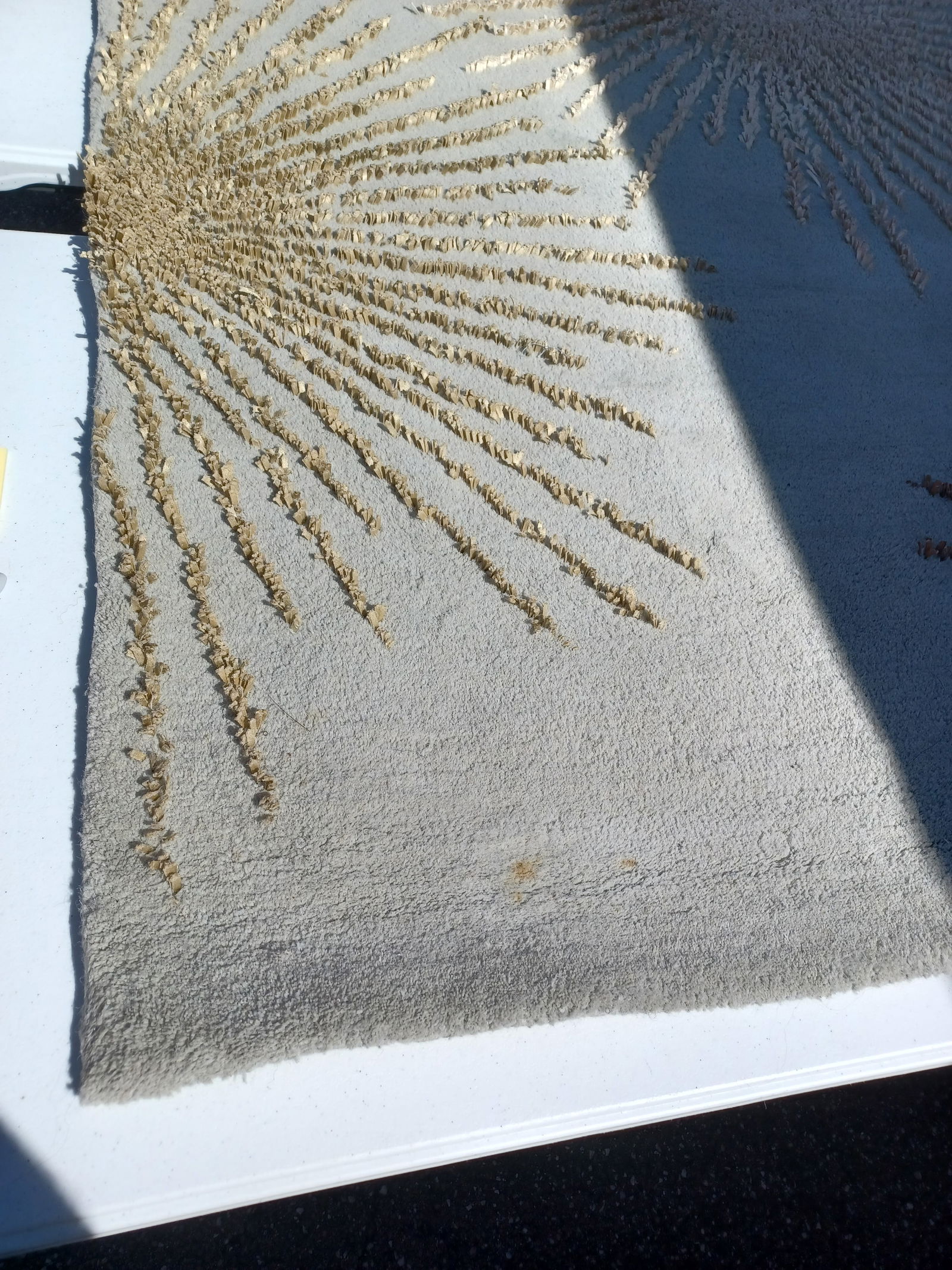 Beautiful Wool Area Rug - 4