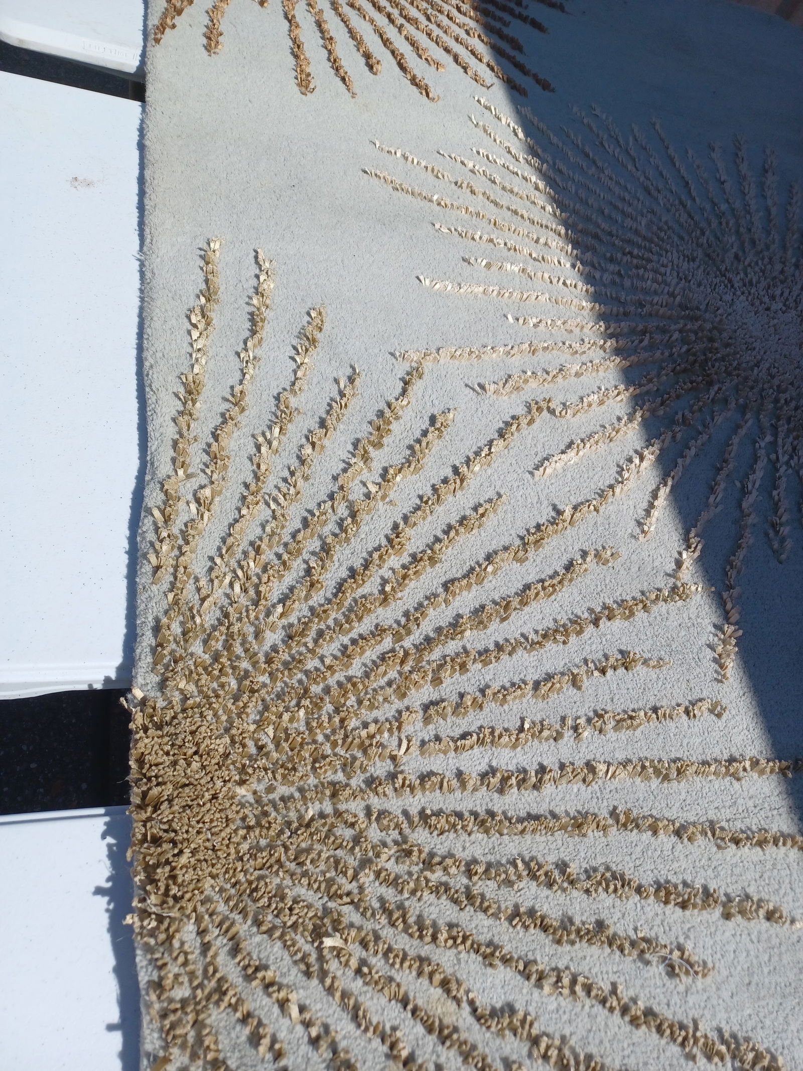 Beautiful Wool Area Rug - 5