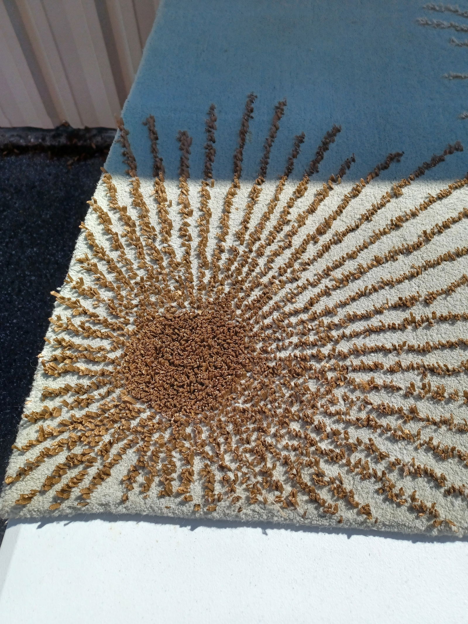 Beautiful Wool Area Rug - 6