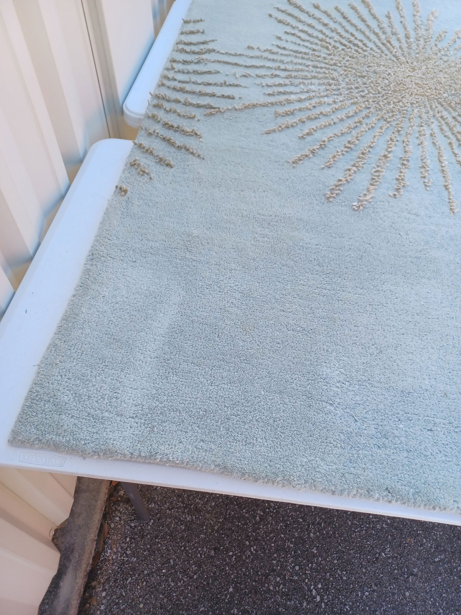 Beautiful Wool Area Rug - 7