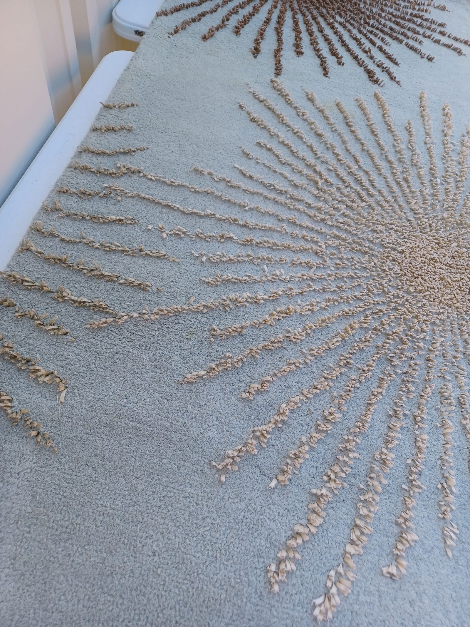 Beautiful Wool Area Rug - 8