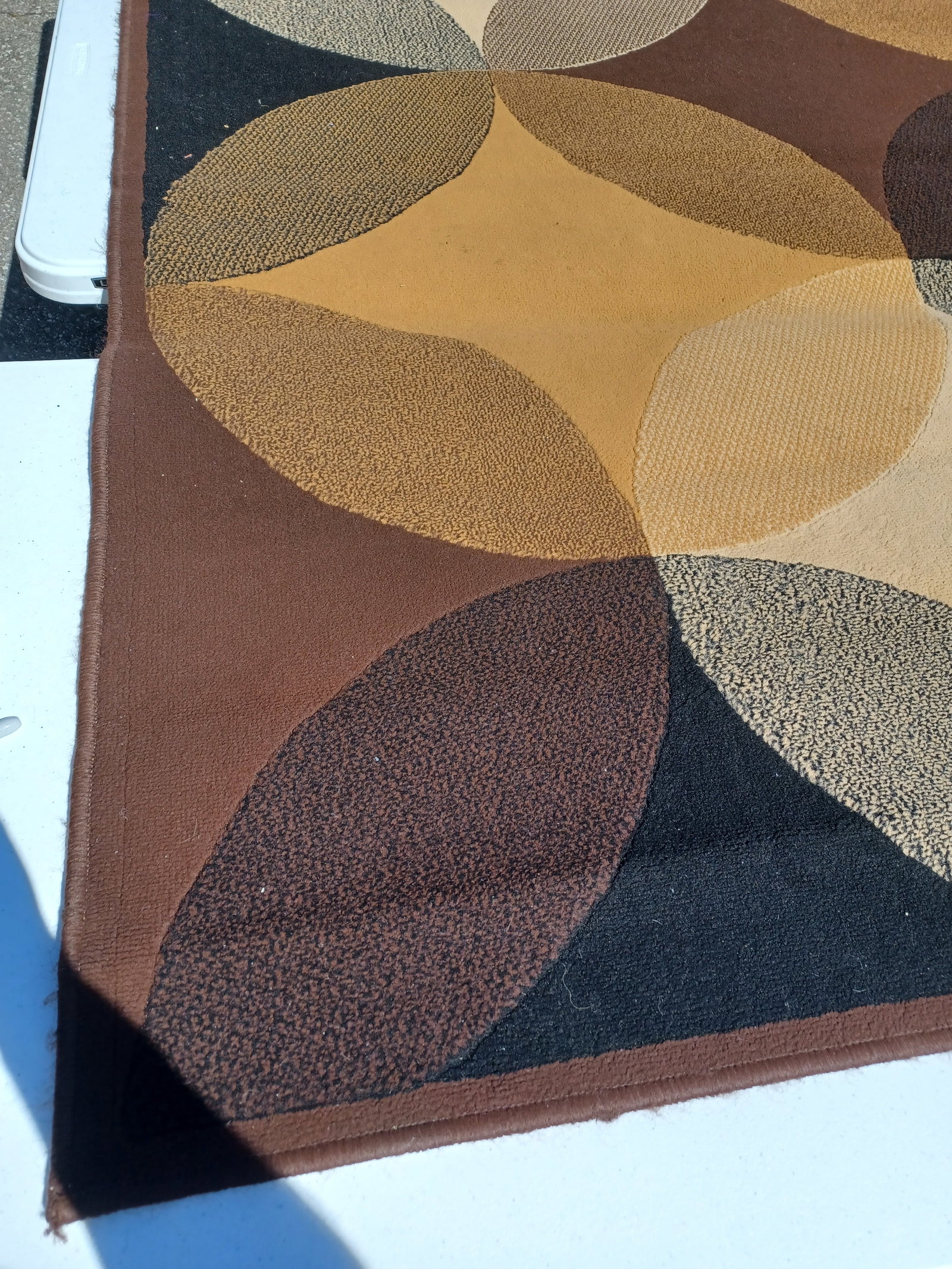 Large Area Rug - 4