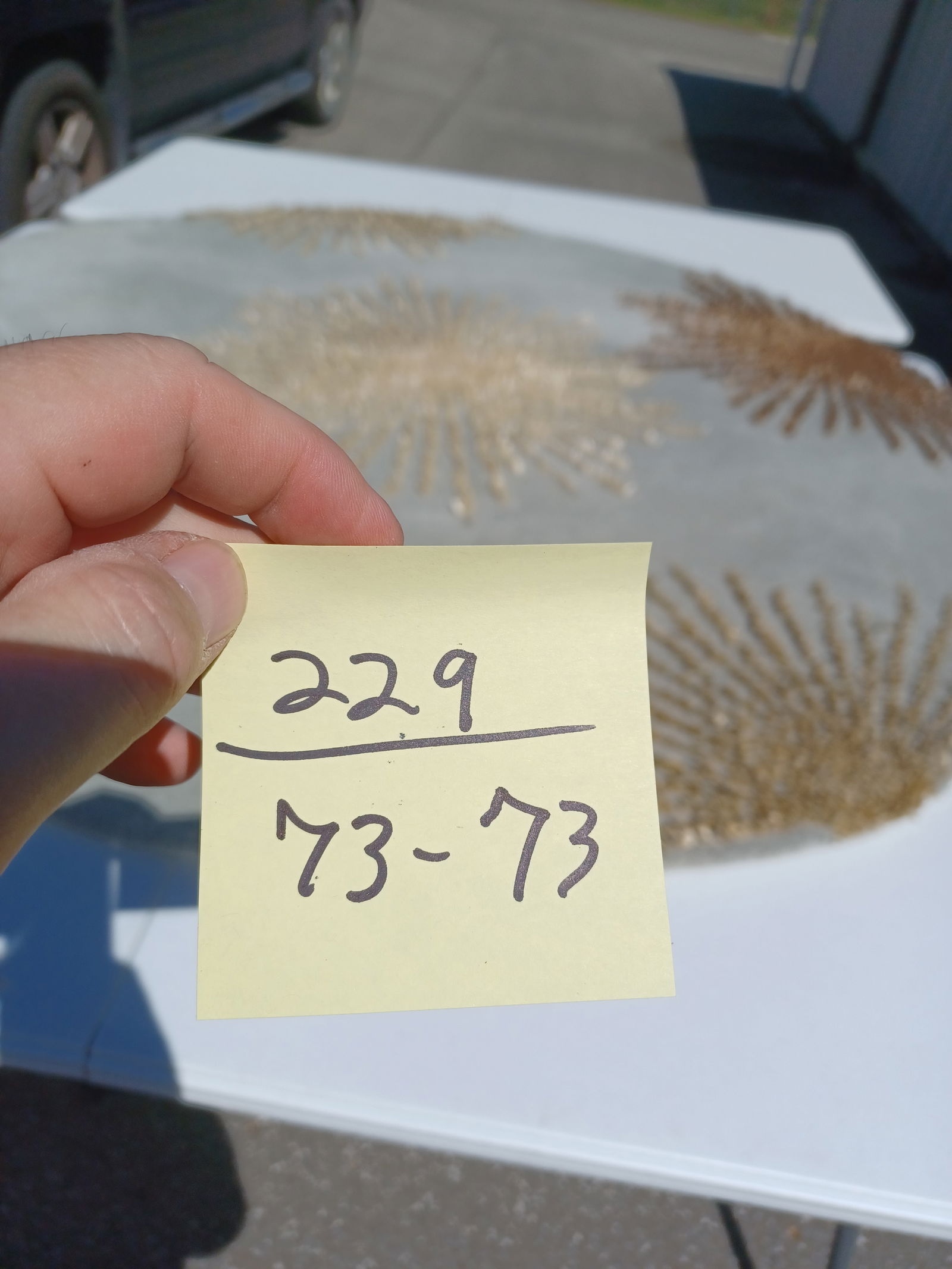 Wool Circular Area Rug - 2