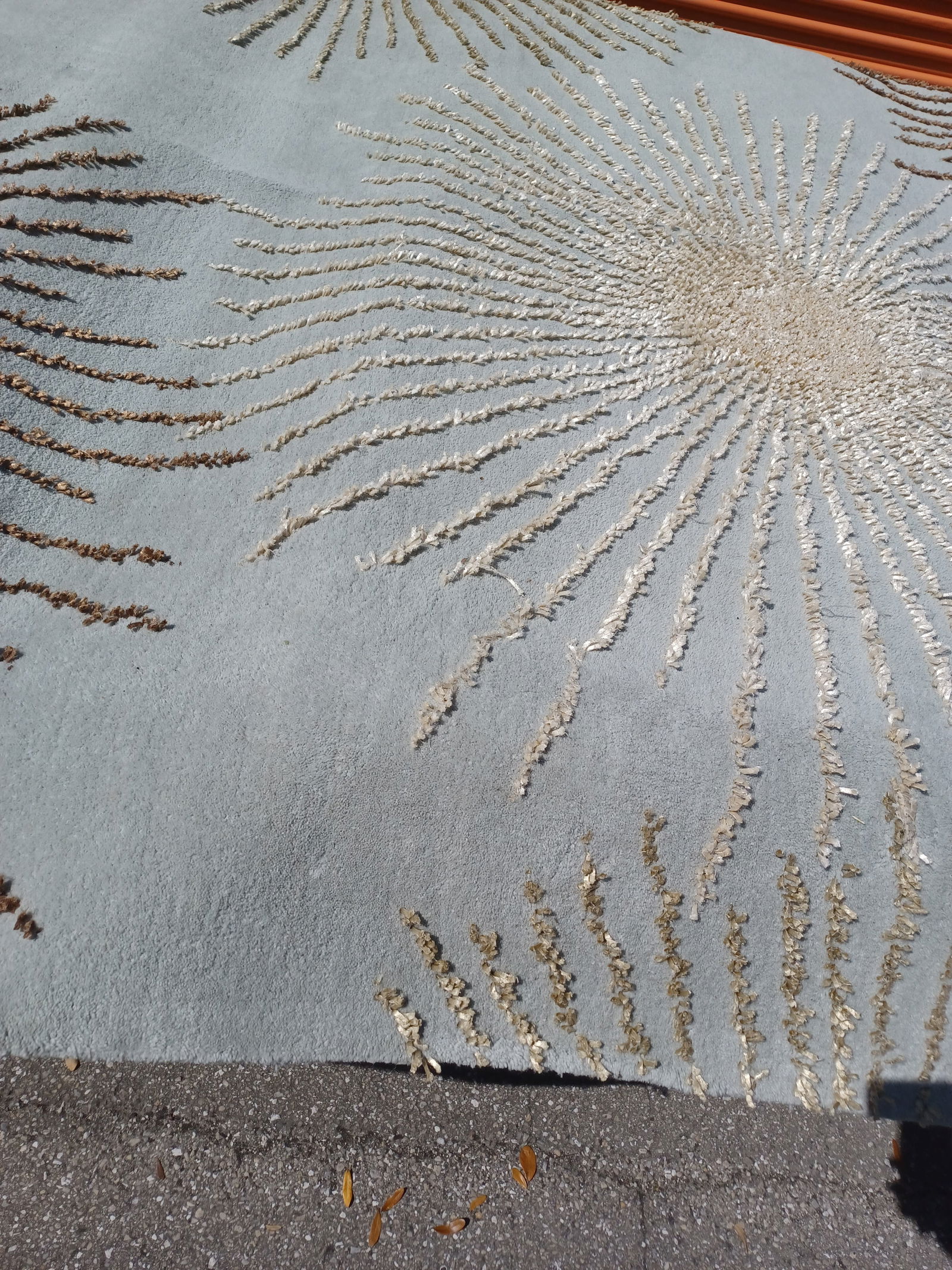 Large Wool Area Rug - 4