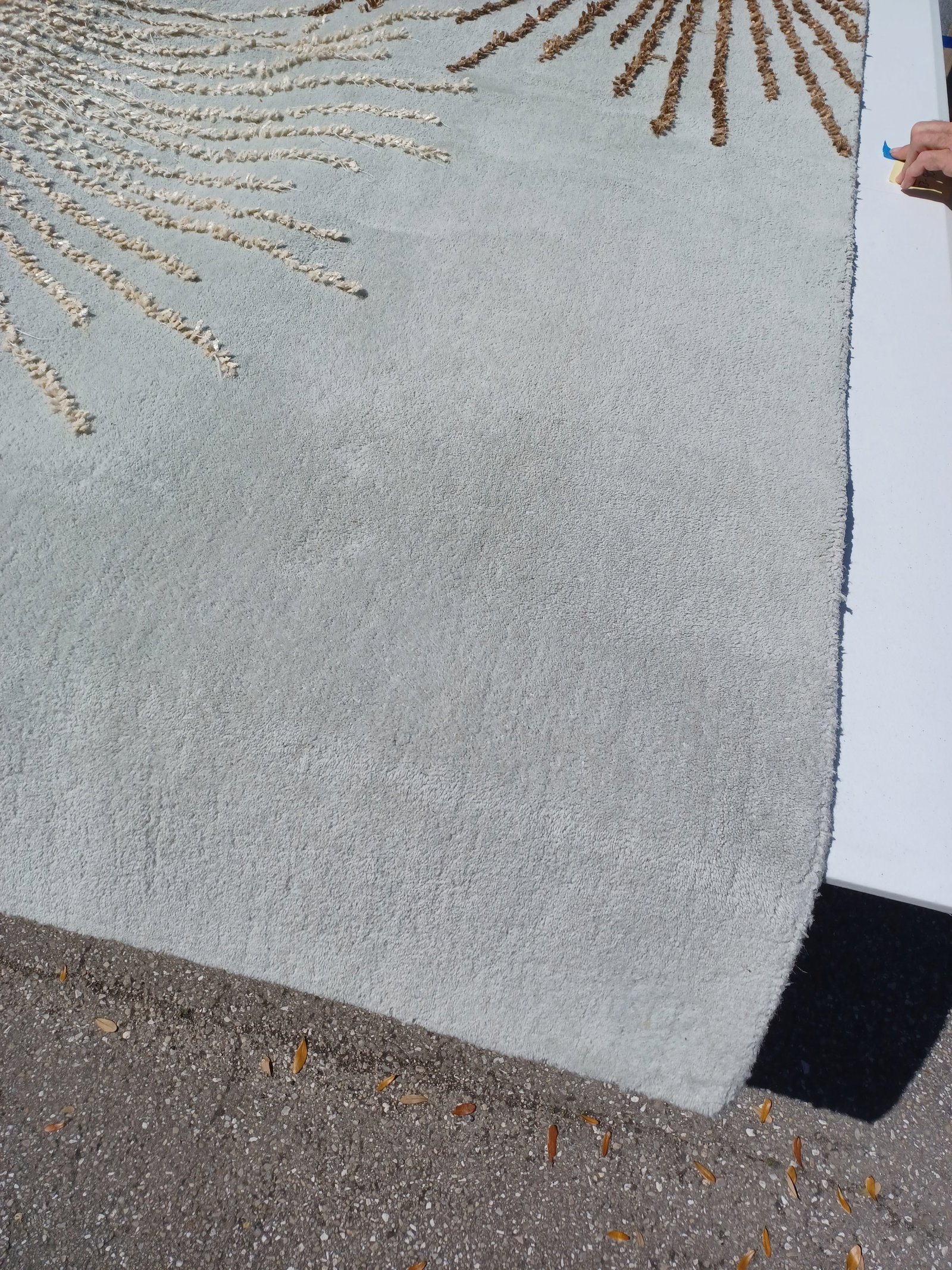 Large Wool Area Rug - 6