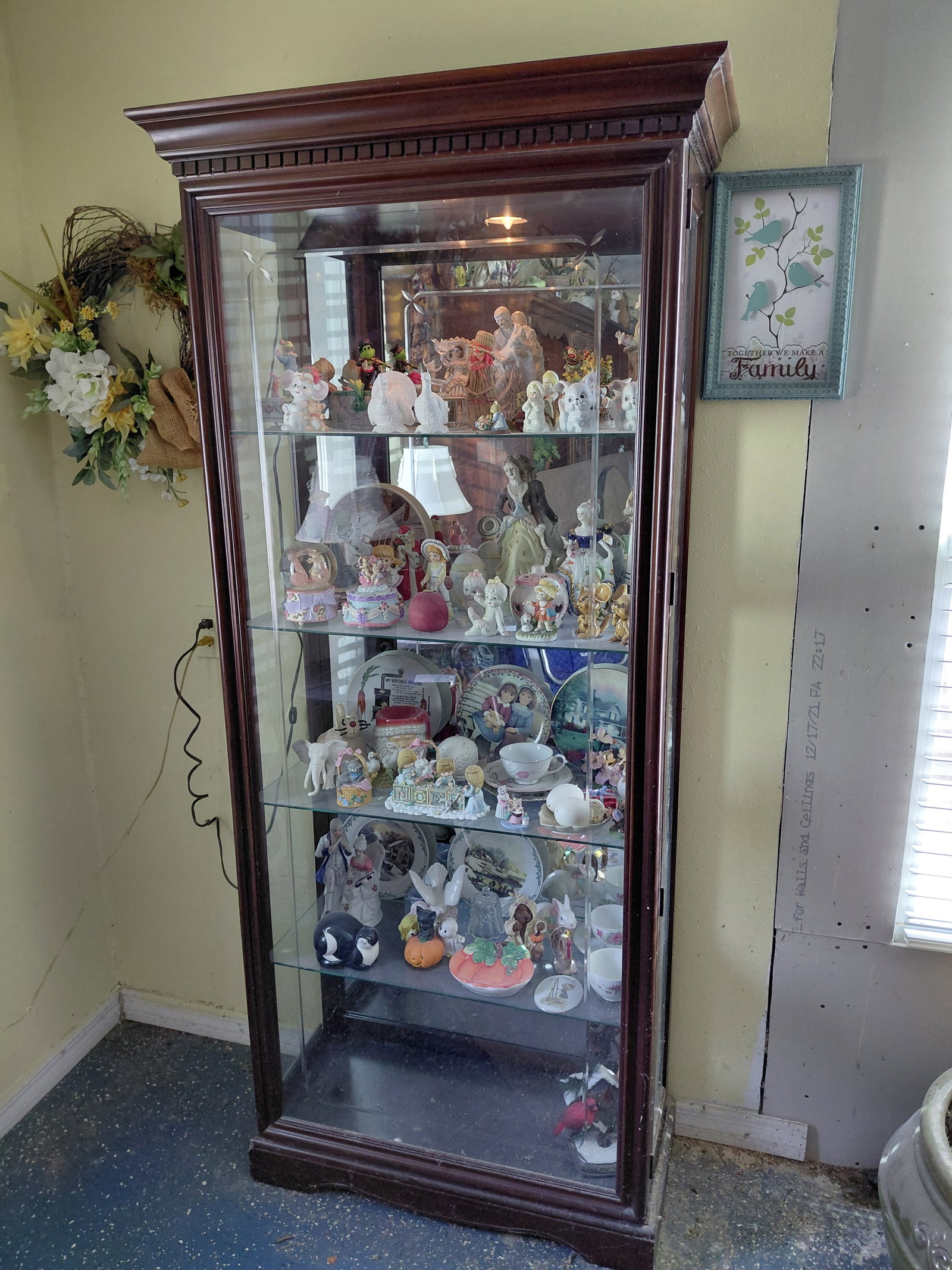 Mahogany Display Case with Light / Needs a good cleaning (1 of 10)