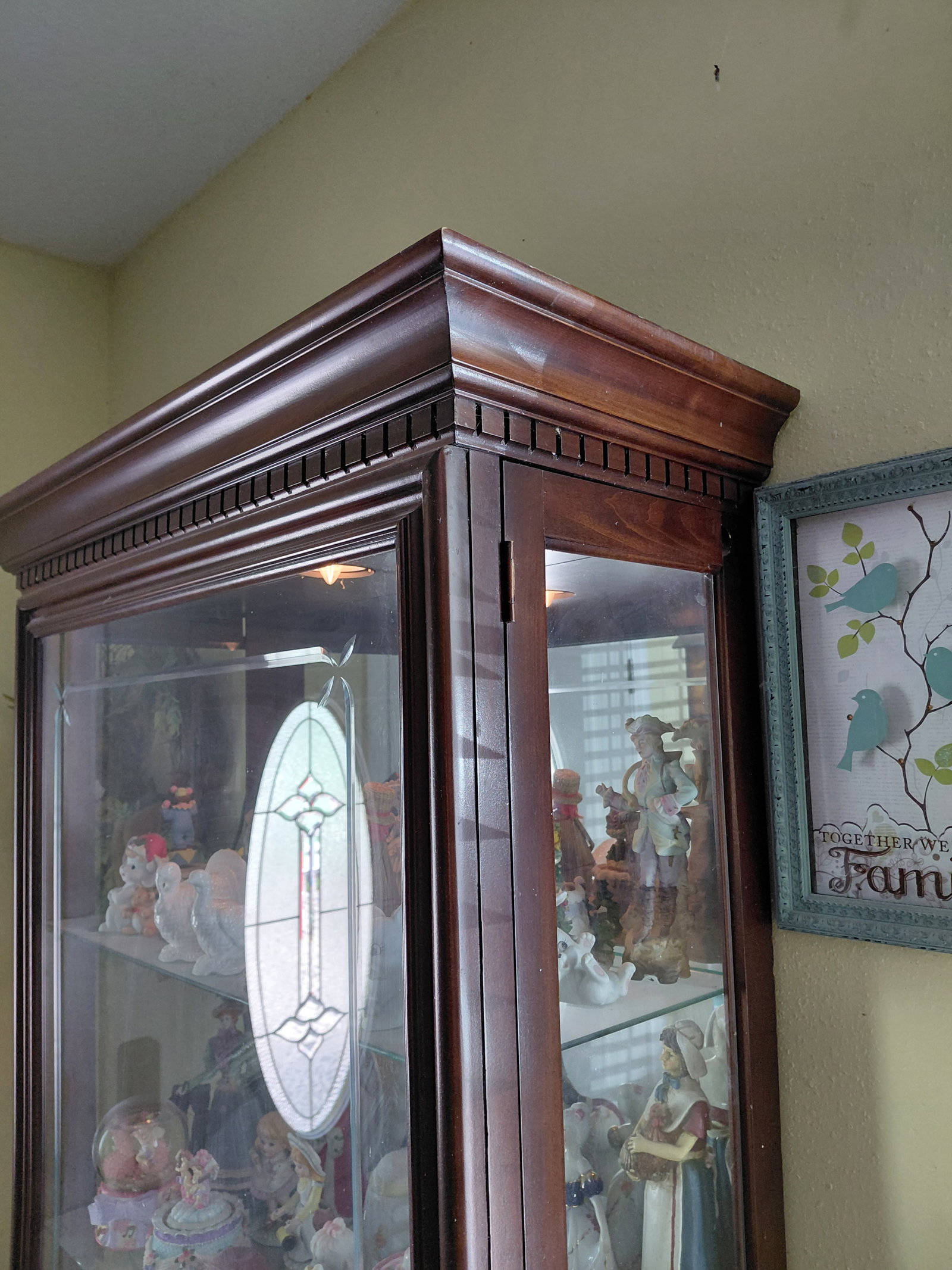 Mahogany Display Case with Light / Needs a good cleaning - 7