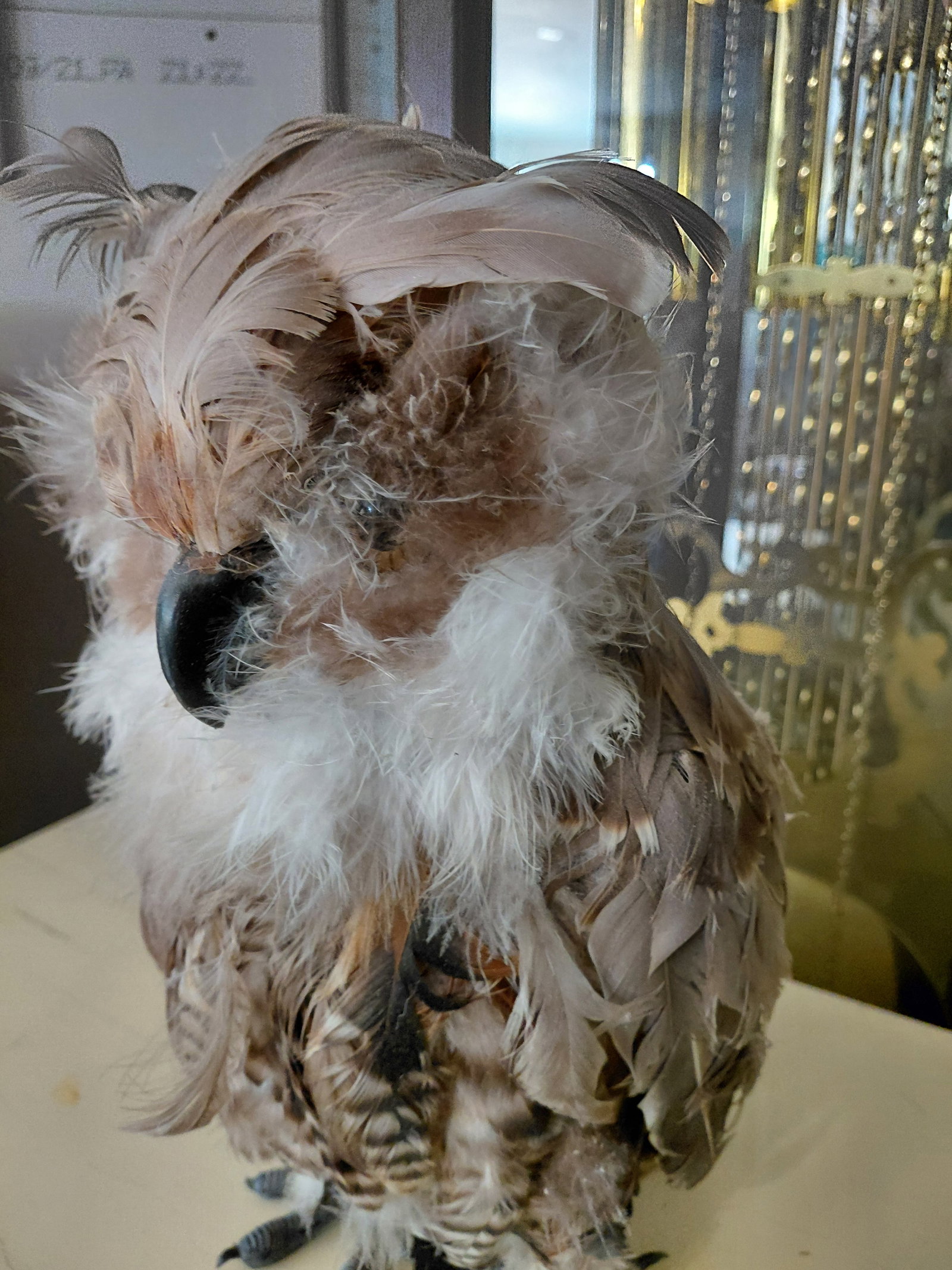 Real Feather Owl Statue - 4