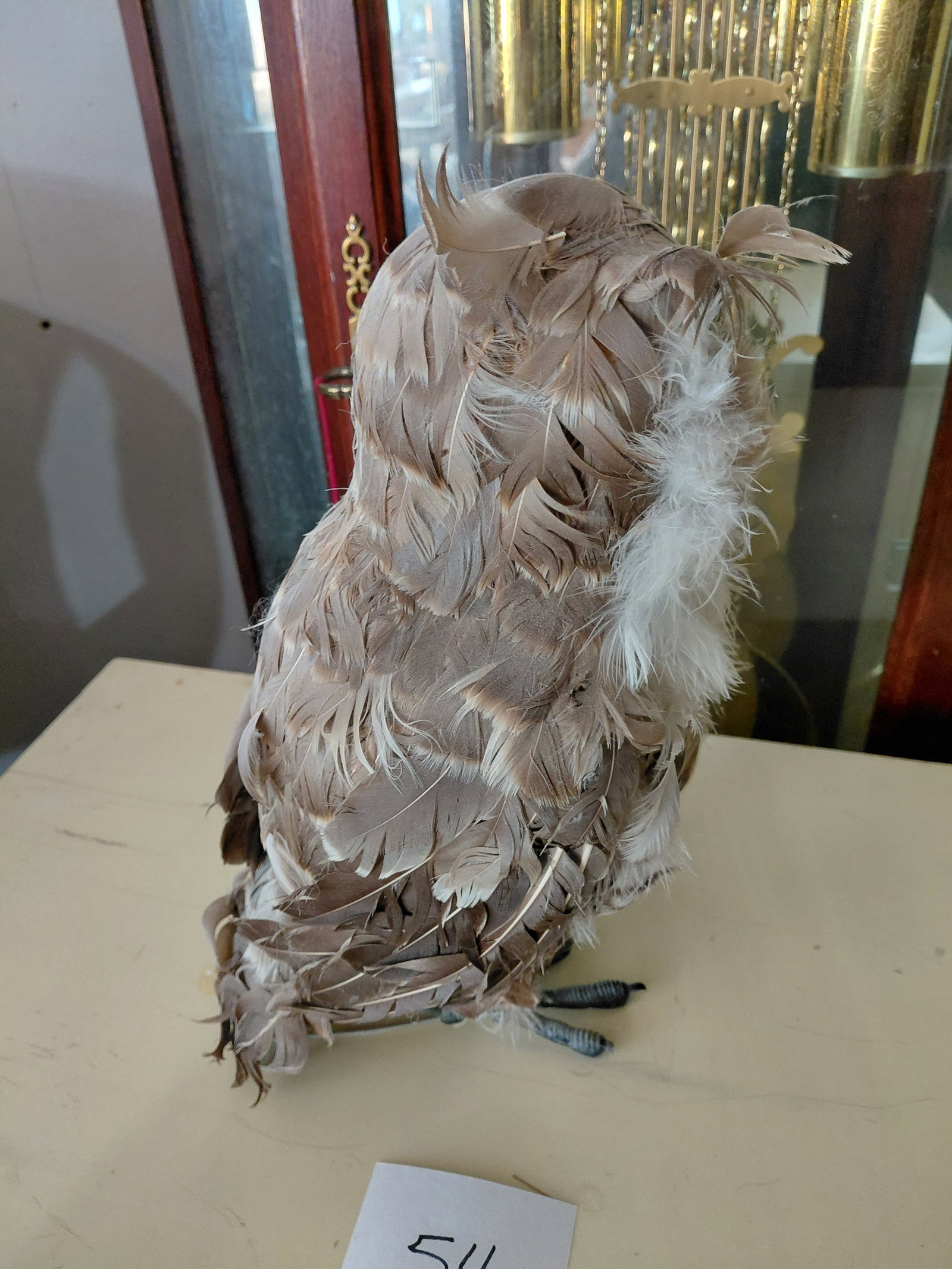 Real Feather Owl Statue - 7