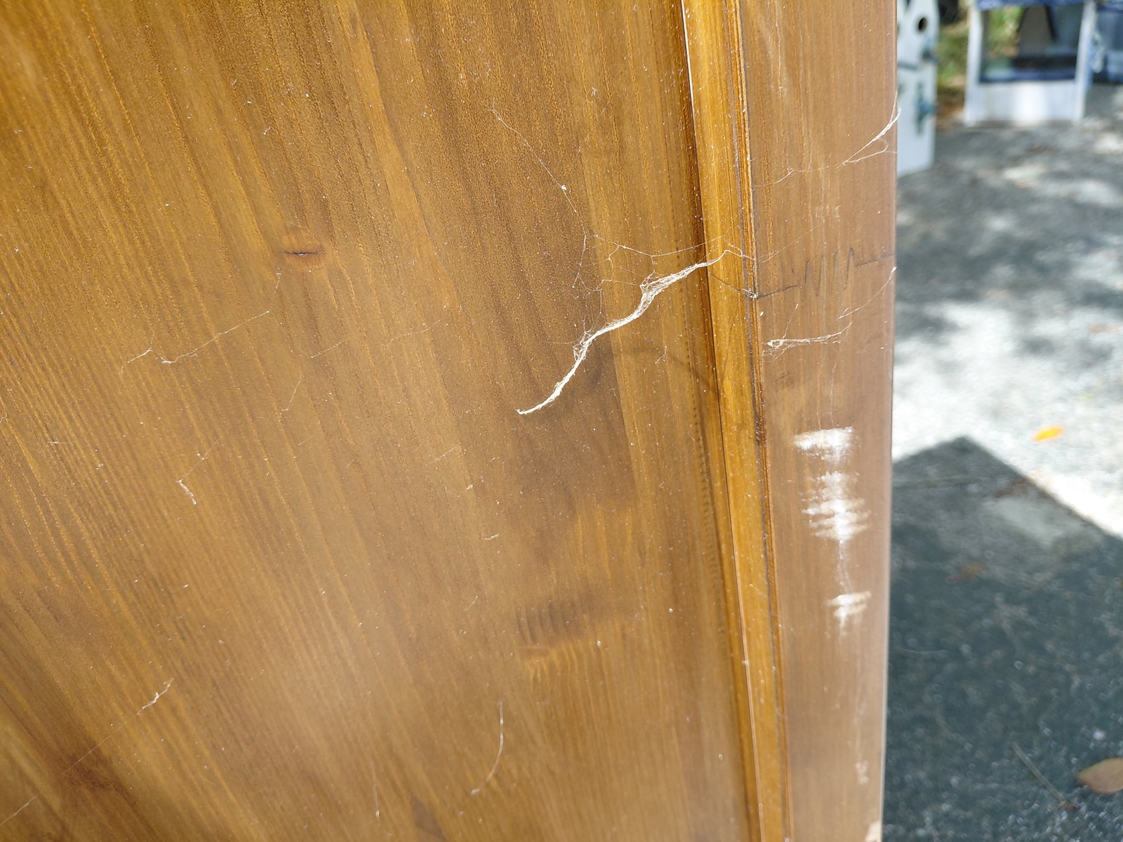 Tall Glass Front Wood Cabinet - 12