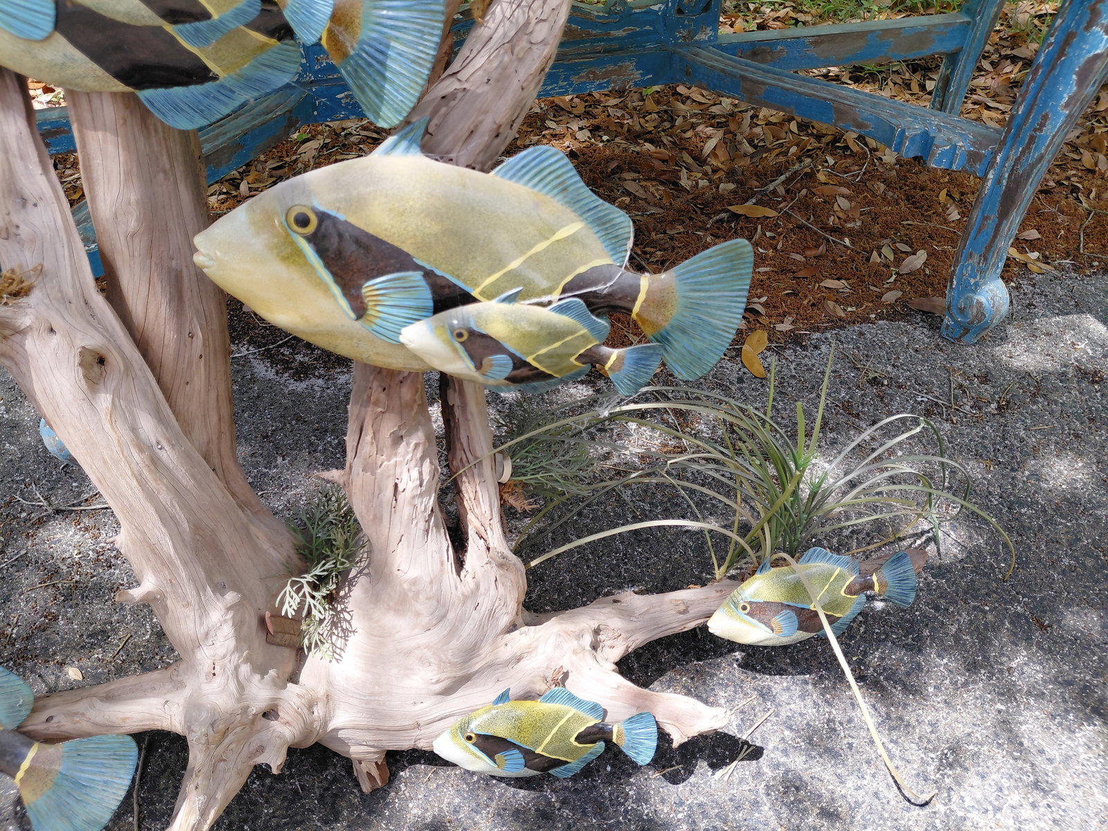 Large Wall art with Drift Wood and Fish - 5