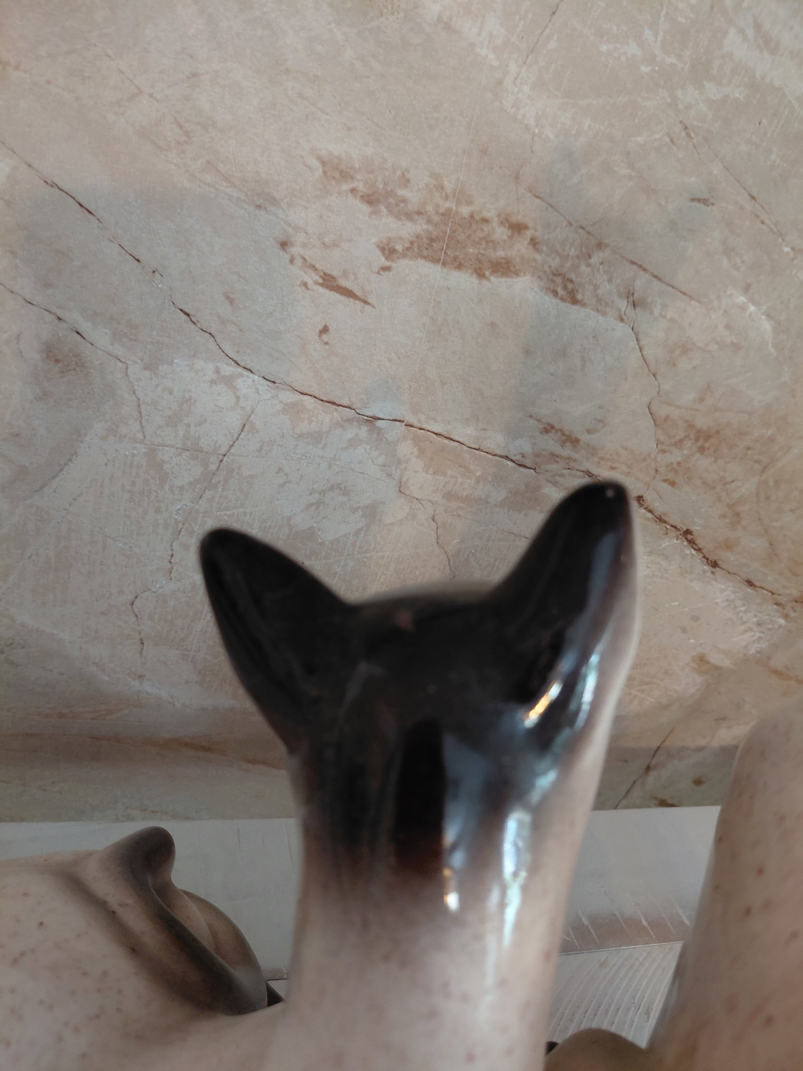Rare Mid Century Siamese Cats TV Lamp / 1 has missing eye small chips on ears as seen - 6
